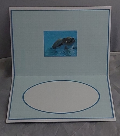 Playful Dolphins Insert by Marion Harding