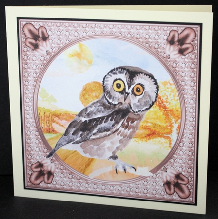 3 Water colour owl card fronts/toppers 2 by Marion Kimberley-Scott