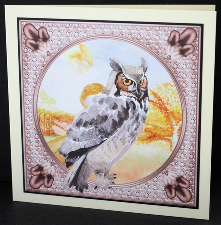 3 Water colour owl card fronts/toppers 3 by Marion Kimberley-Scott