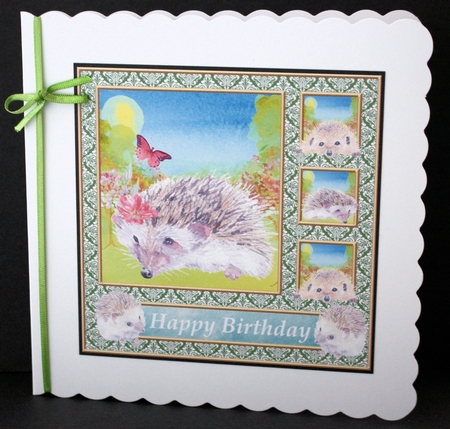3 Quintet frame Happy Birthday hedgehog card fronts/toppers by Marion Kimberley-Scott