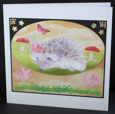 Cute hedgehog card front 1 by Marion Kimberley-Scott