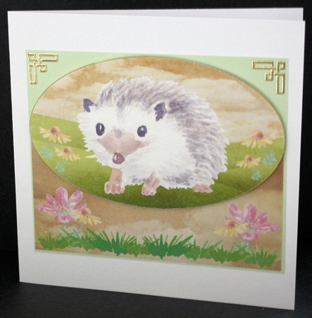 Cute hedgehog card front 3 by Marion Kimberley-Scott