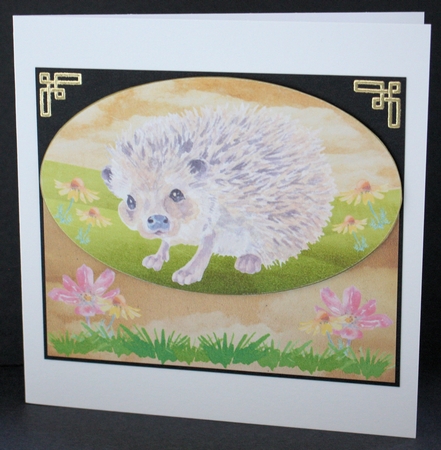 Cute hedgehog card front 5 by Marion Kimberley-Scott