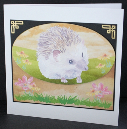 Cute hedgehog card front 6 by Marion Kimberley-Scott