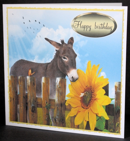 donkey and the sunflower  by Marion Kimberley-Scott
