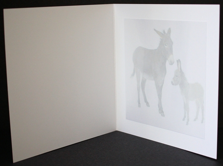 donkey and the sunflower  by Marion Kimberley-Scott
