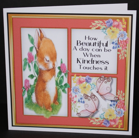 When Kindness Touches by Marion Kimberley-Scott