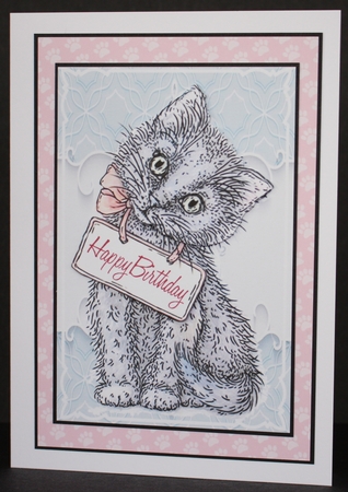 Sweet Kitty by Marion Kimberley-Scott