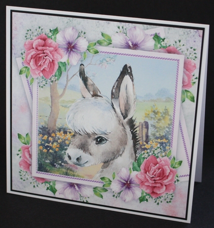 Beautiful Donkey With Pink Roses 8x8 by Marion Kimberley-Scott
