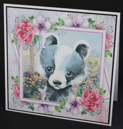 Beautiful Badger With Pink Roses 8x8 by Marion Kimberley-Scott