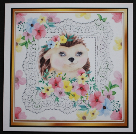 Cute water colour hedgehog in lace and flower frame 8x8 by Marion Kimberley-Scott