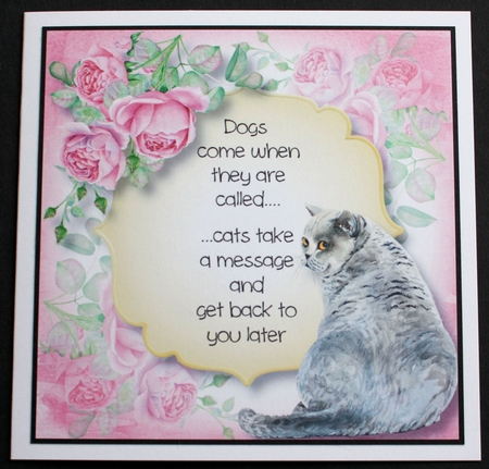 Cat Quotes Bumper Kit by Marion Kimberley-Scott