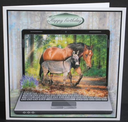 donkey and mare  by Marion Kimberley-Scott
