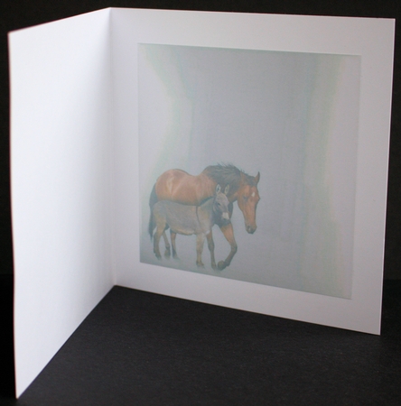 donkey and mare  by Marion Kimberley-Scott