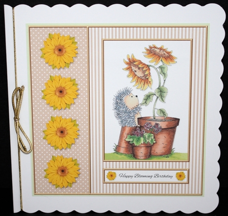 Cute Hedgehog Topper - Happy Blooming Birthday - Tan by Marion Kimberley-Scott
