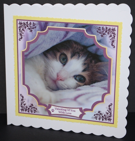 Sweet Little Tabby Cat - 8x8 Mini Kit by Marion Kimberley-Scott