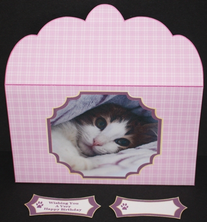 Sweet Little Tabby Cat - Money Wallet by Marion Kimberley-Scott