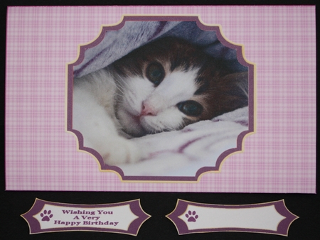 Sweet Little Tabby Cat - Money Wallet by Marion Kimberley-Scott