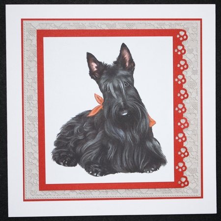 2021 Calendar Scotty by Marion Kimberley-Scott