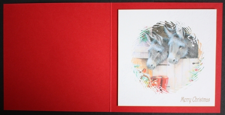 Christmas Donkey 7x7ins Insert 1 by Marion Kimberley-Scott