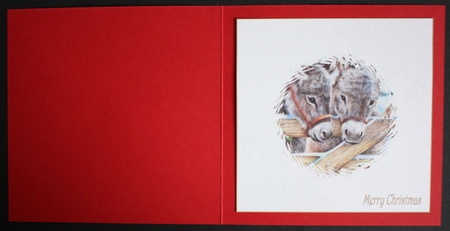 Christmas Donkey 7x7ins Insert 3 by Marion Kimberley-Scott