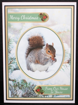 Squirrels In The Snow by Marion Kimberley-Scott