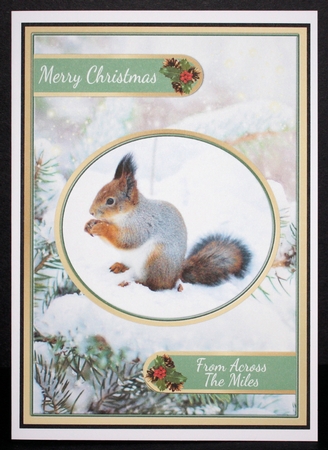 Squirrels In The Snow by Marion Kimberley-Scott