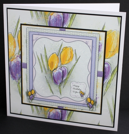 PROMISE OF SPRING: A4 Floral Crocus Background/BackingPaper by Marion Kimberley-Scott