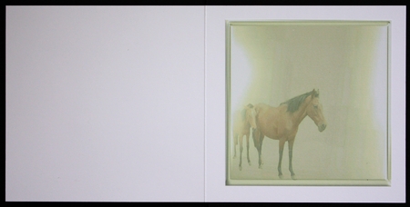 horse and foal by Marion Kimberley-Scott