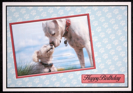 Cute Dogs pyramage sheet by Marion Kimberley-Scott
