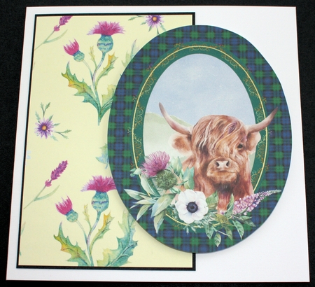 Wildflower Background Paper 15 by Marion Kimberley-Scott