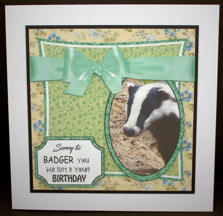 Badger Birthday 6 x 6 by Marion Kimberley-Scott