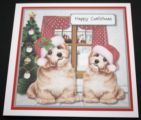 Christmas Dogs by Marion Kimberley-Scott