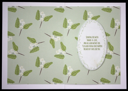 2 SNOWBERRY INSERTS: 1 Blank, 1 With Thank You Verse, Plus 3 Bonus Sentiments/Verses   by Marion Kimberley-Scott