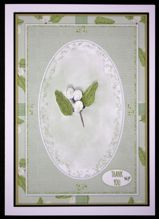 2 SNOWBERRY INSERTS: 1 Blank, 1 With Thank You Verse, Plus 3 Bonus Sentiments/Verses   by Marion Kimberley-Scott