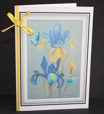 Simple Gorgeous Floral A5 Bumper Kit 2 by Marion Kimberley-Scott