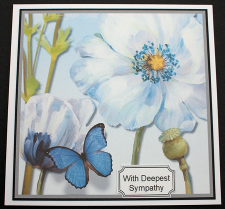 With Sympathy by Marion Kimberley-Scott