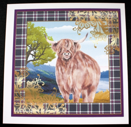 3 Highland cow card front/toppers 3 by Marion Kimberley-Scott