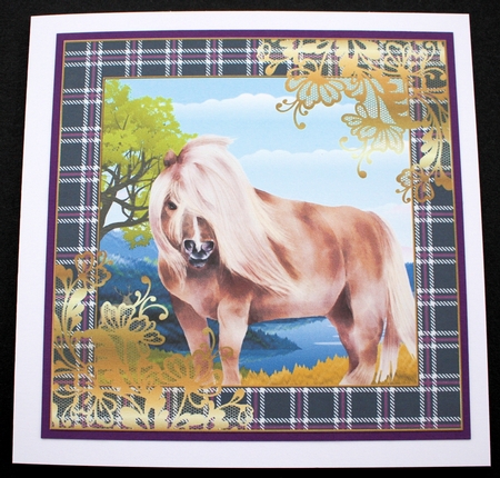 3 Highland pony card front/toppers 2 by Marion Kimberley-Scott