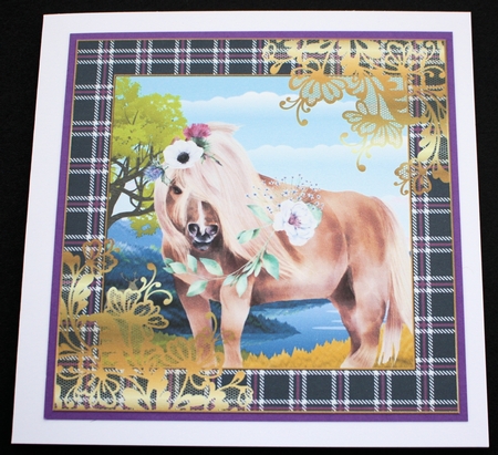 3 Floral highland pony card front/toppers 1 by Marion Kimberley-Scott