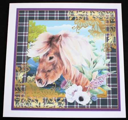 3 Floral highland pony card front/toppers 2 by Marion Kimberley-Scott