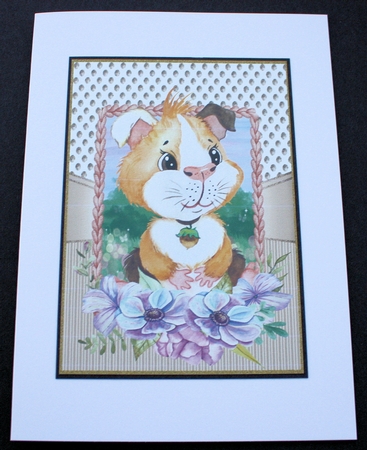 Floral hamster and guinea pig card fronts by Marion Kimberley-Scott