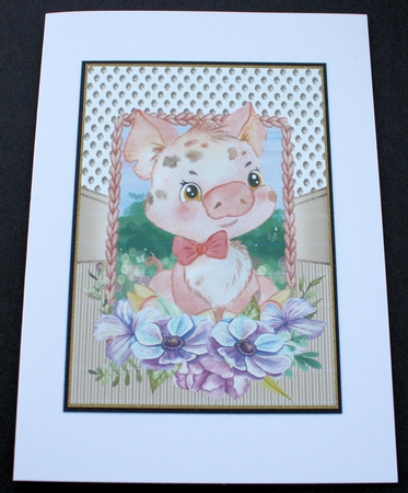 Floral budgie and piglet card fronts by Marion Kimberley-Scott