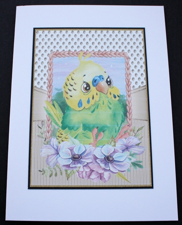 Floral budgie and piglet card fronts by Marion Kimberley-Scott