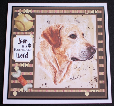 Yellow Lab card front  by Marion Kimberley-Scott