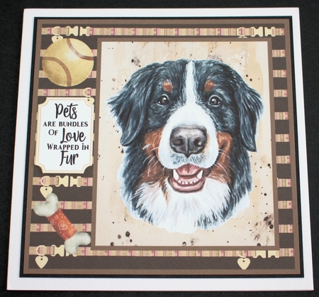 Bernese card front  by Marion Kimberley-Scott