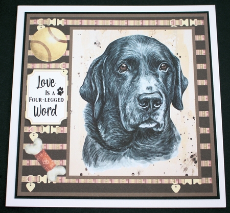 Black Labrador card front  by Marion Kimberley-Scott