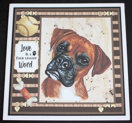 Boxer card front  by Marion Kimberley-Scott