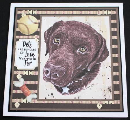Chocolate Labrador card front  by Marion Kimberley-Scott