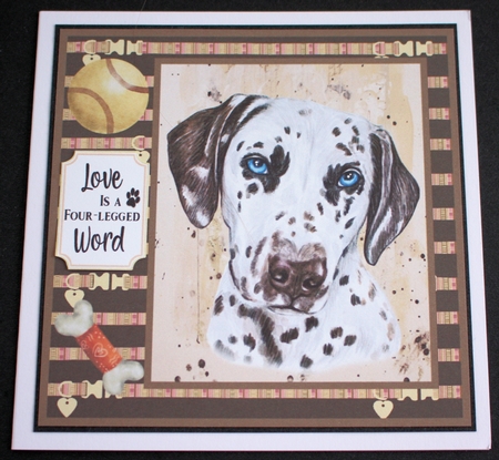 Dalmation card front  by Marion Kimberley-Scott